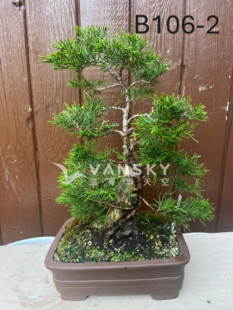 250920100847_B106-2 25-2 - 25-06.JPG